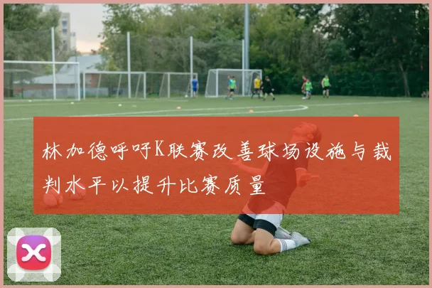 林加德呼吁K联赛改善球场设施与裁判水平以提升比赛质量